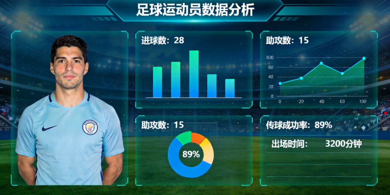 足球运动员数据分析图表展示